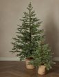 Faux Spruce Tree For Cheap