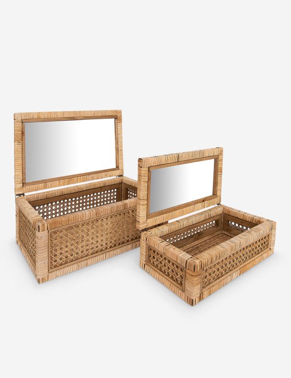 Davi Boxes (Set of 2) Sale