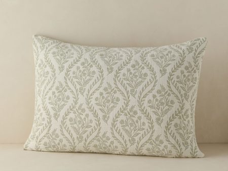 Denby Cotton Sham For Cheap