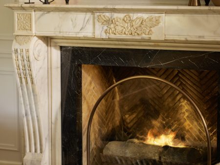 Callion Glass Fireplace Screen Discount