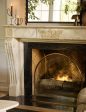 Callion Glass Fireplace Screen Discount