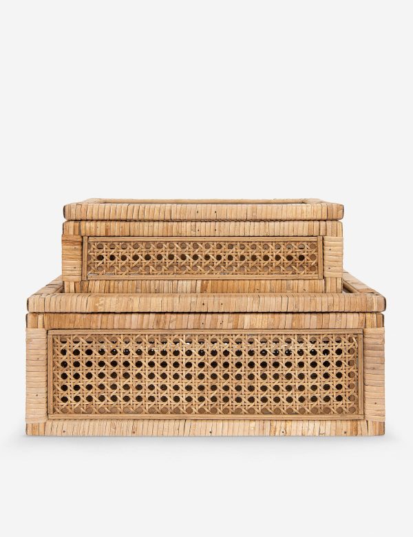 Davi Boxes (Set of 2) Sale