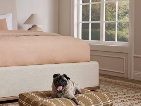 Rollo Dog Bed Online Hot Sale