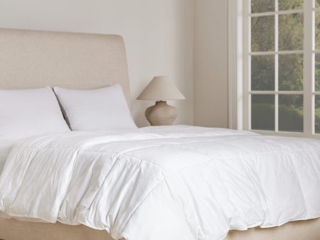 Everyday Down Duvet Insert Online Hot Sale