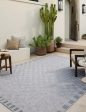 Topanga IV Indoor   Outdoor Rug by Amber Lewis x Loloi Discount