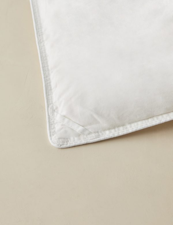 Everyday Down Duvet Insert Online Hot Sale