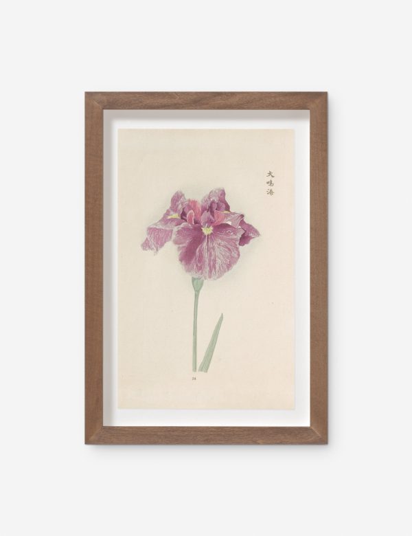 Vintage Japanese Iris No. 24 Wall Art by Miyoshi Manabu Online Hot Sale