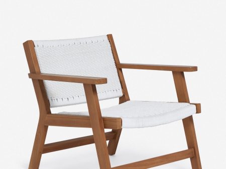 Ylva Indoor   Outdoor Accent Chair Online Sale