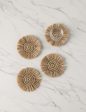 Fique Coasters (Set of 4) by Tallo de Olivo Hot on Sale