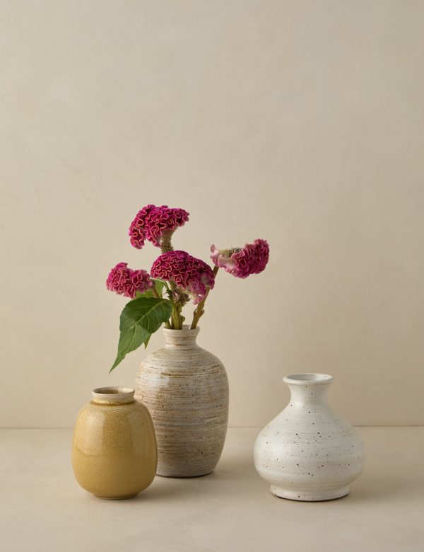 Bryony Vases (Set of 3) Hot on Sale