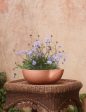 Dempsy Low Planter by Sarah Sherman Samuel Online Sale