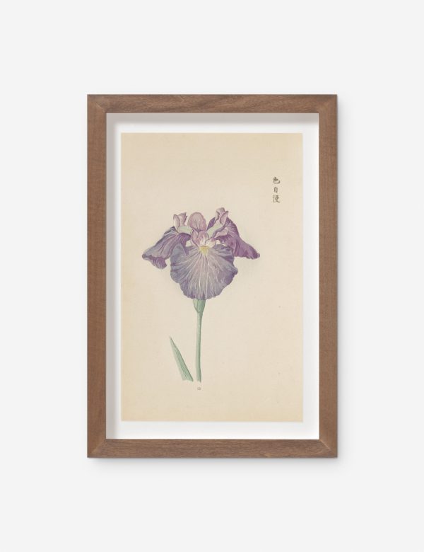 Vintage Japanese Iris No. 29 Wall Art by Miyoshi Manabu Fashion