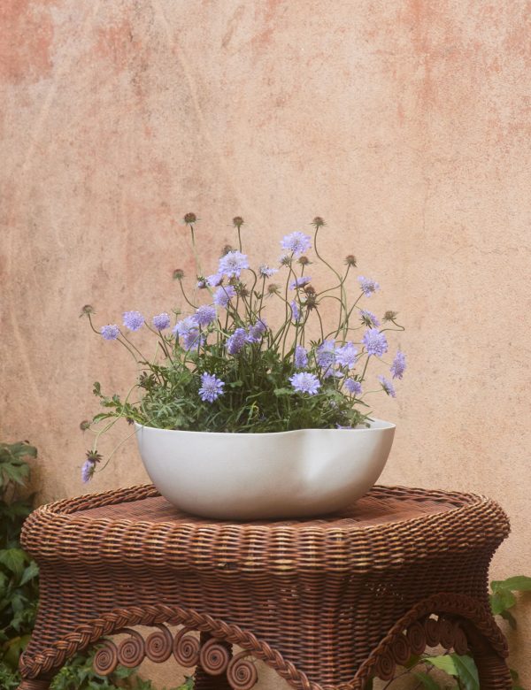 Dempsy Low Planter by Sarah Sherman Samuel Online Sale