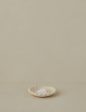 Salt Dish III by Stephanie Dawn Matthias For Cheap