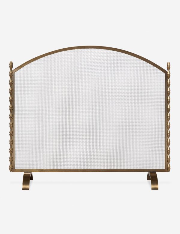 Topia Fireplace Screen by Ginny Macdonald Supply