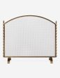 Topia Fireplace Screen by Ginny Macdonald Supply