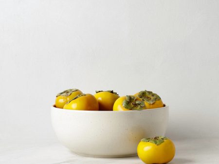 Pacifica Serving Bowl by Casafina Online now