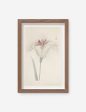 Vintage Japanese Iris No. 33 Wall Art by Miyoshi Manabu For Discount