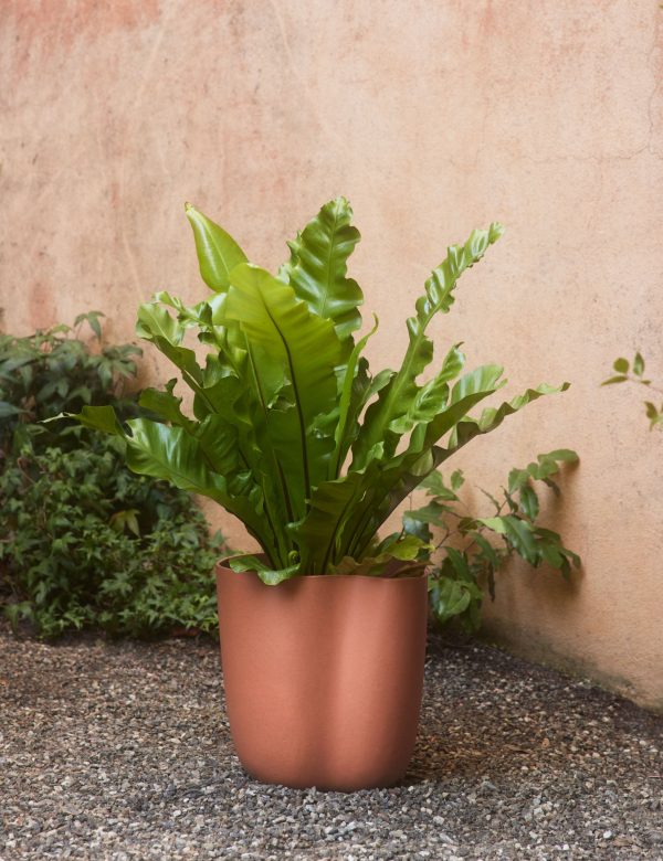 Dempsy Planter by Sarah Sherman Samuel For Discount