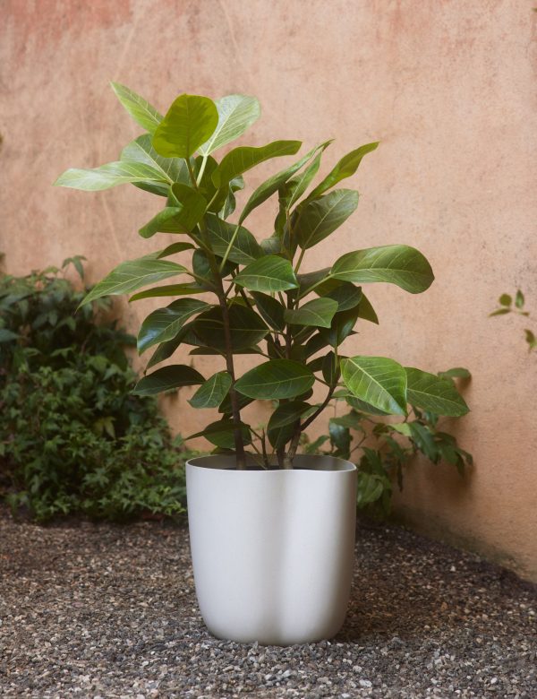 Dempsy Planter by Sarah Sherman Samuel For Discount