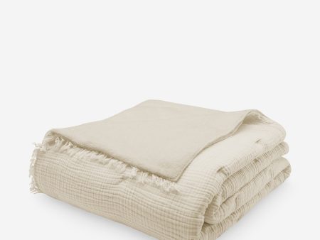 Alaia Sherpa Blanket by House No. 23 on Sale