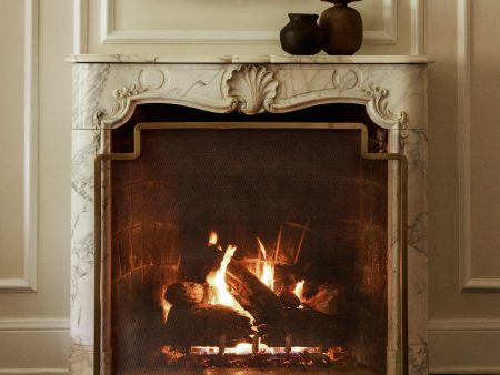 Langham Fireplace Screen Hot on Sale