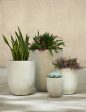 Bradford Planters by Campania International For Discount