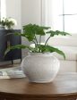 Arrosa Decorative Vase on Sale