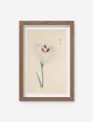 Vintage Japanese Iris No. 31 Wall Art by Miyoshi Manabu Hot on Sale