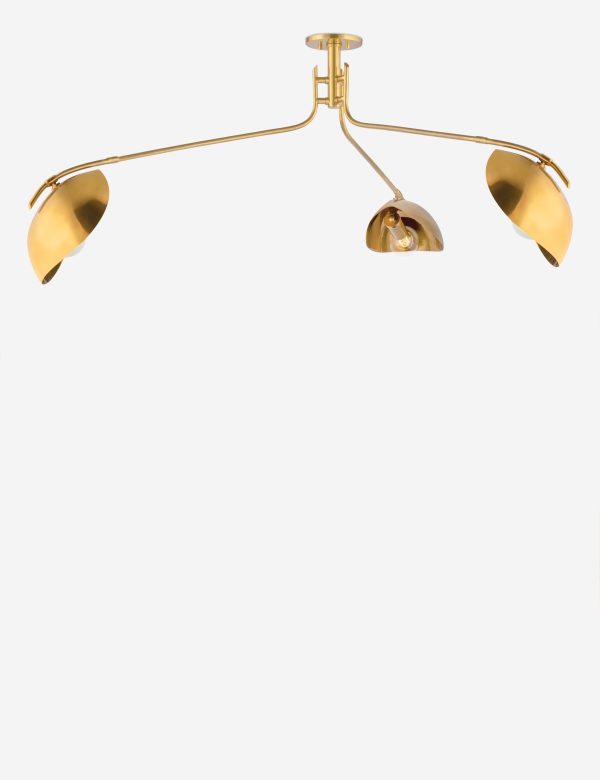 Abanu Chandelier Sale