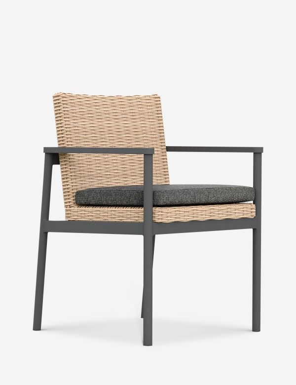 Walsh Indoor   Outdoor Dining Arm Chair (Set of 2) Online now