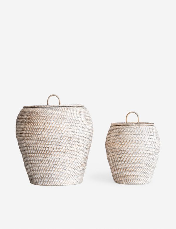 Stacey Baskets (Set of 2) on Sale