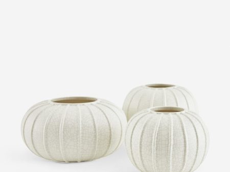 Pompano Vases (Set of 3) by Arteriors Cheap